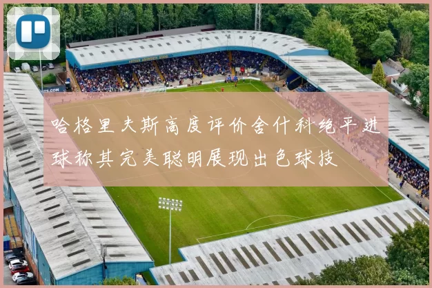 哈格里夫斯高度评价舍什科绝平进球称其完美聪明展现出色球技